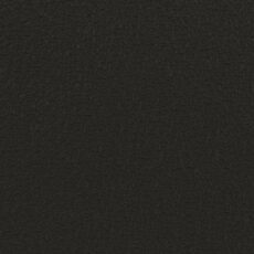 swatches_rawhide_coal_black