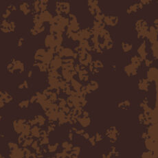 swatches_rustic_natural_rust